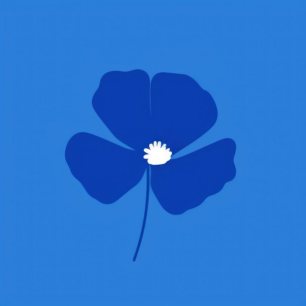 Himalayan blue poppy flower petal plant.