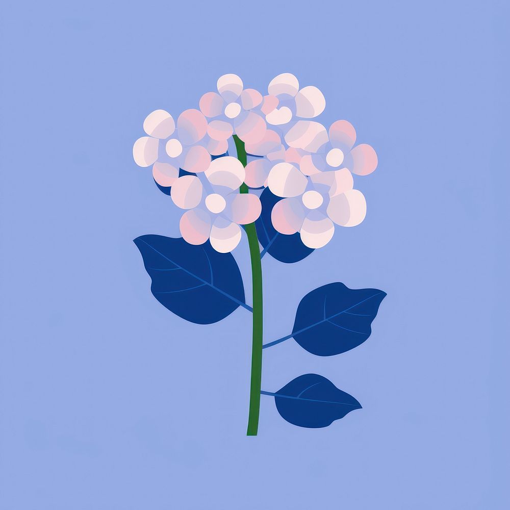 Hortensia blossom flower plant.