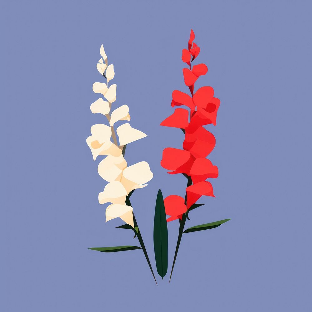 Snapdragons gladiolus flower plant.