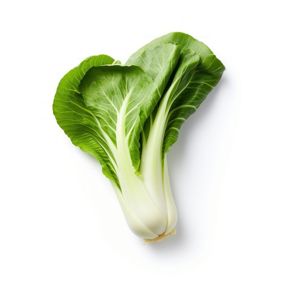 Bok choy half slice vegetable plant food.