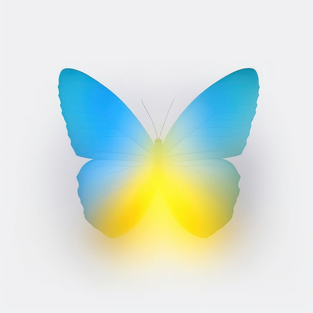 Abstract blurred gradient illustration butterfly insect yellow petal.