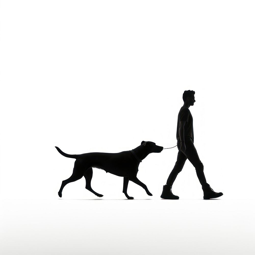 Dog walk silhouette walking animal mammal.