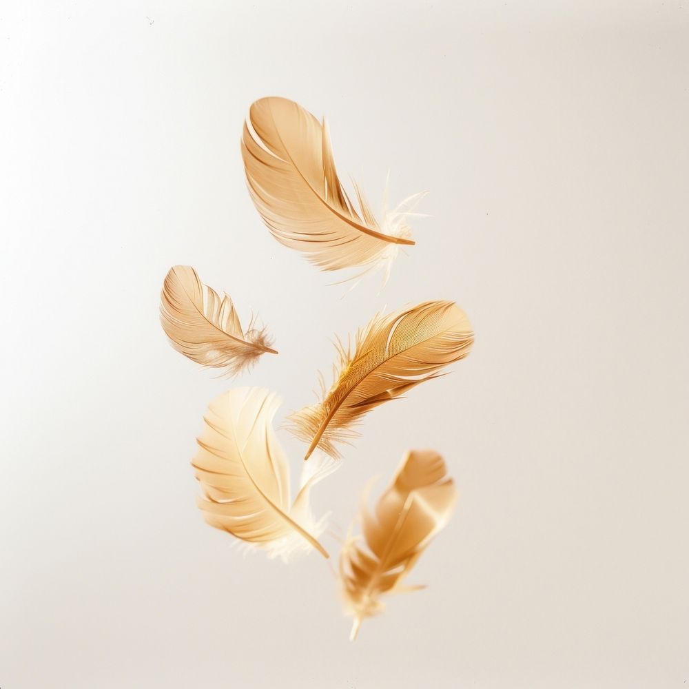 Floating gold feathers leaf lightweight accessories.