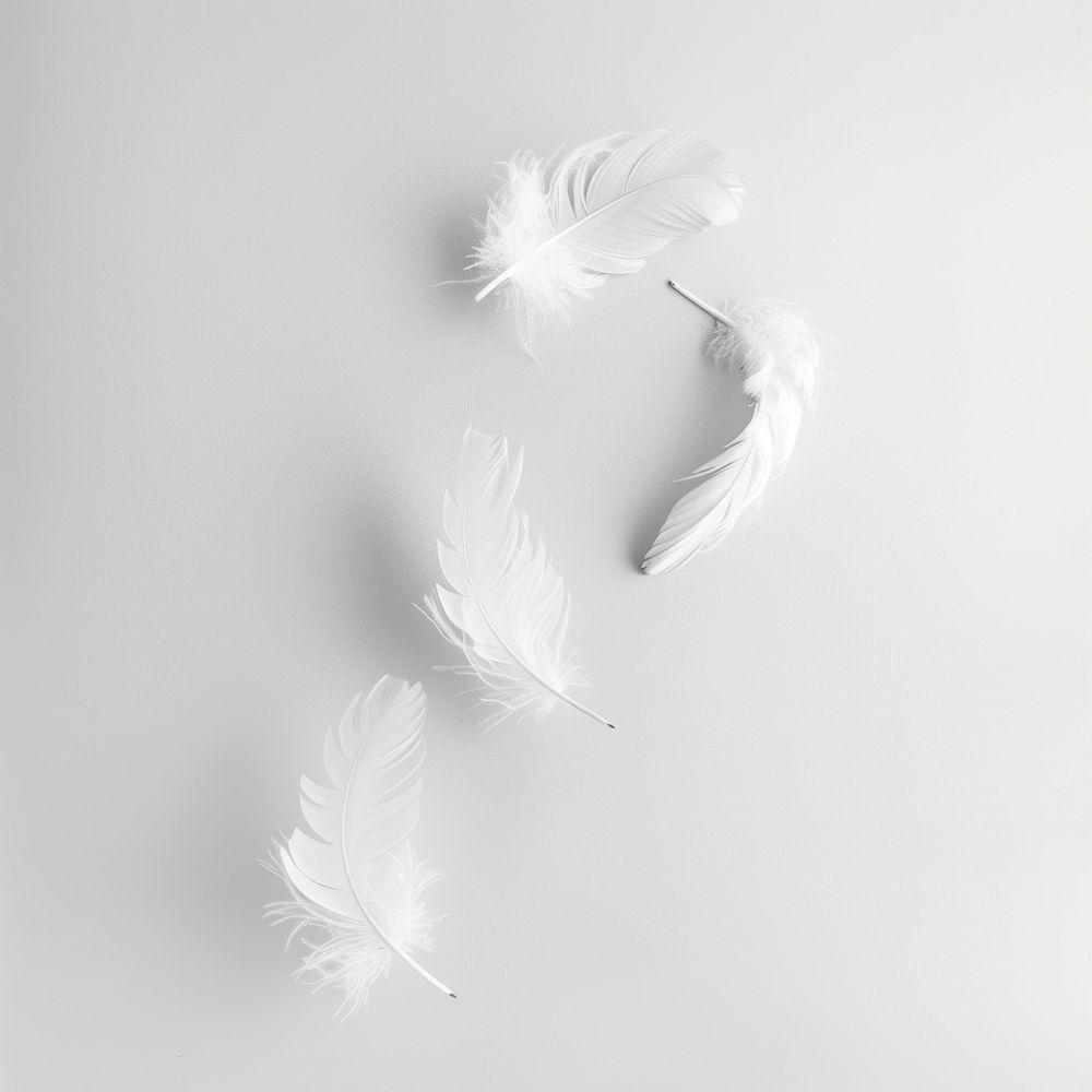 Floating feathers white lightweight monochrome.