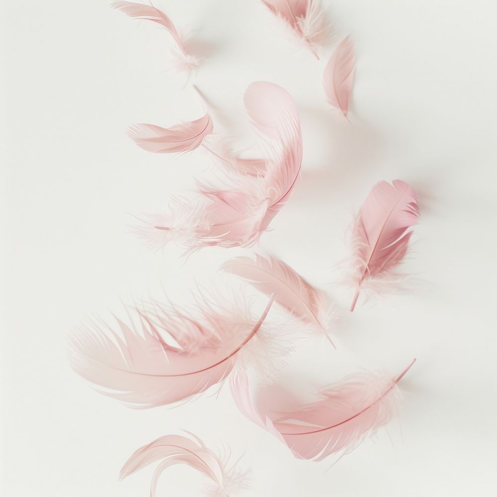 Floating pastel pink feathers lightweight accessories fragility.