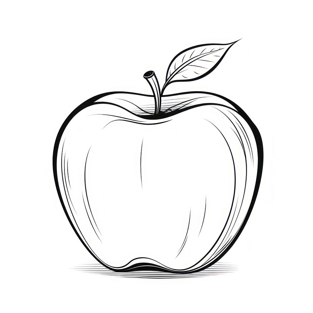 Apple outline sketch drawing fruit plant.