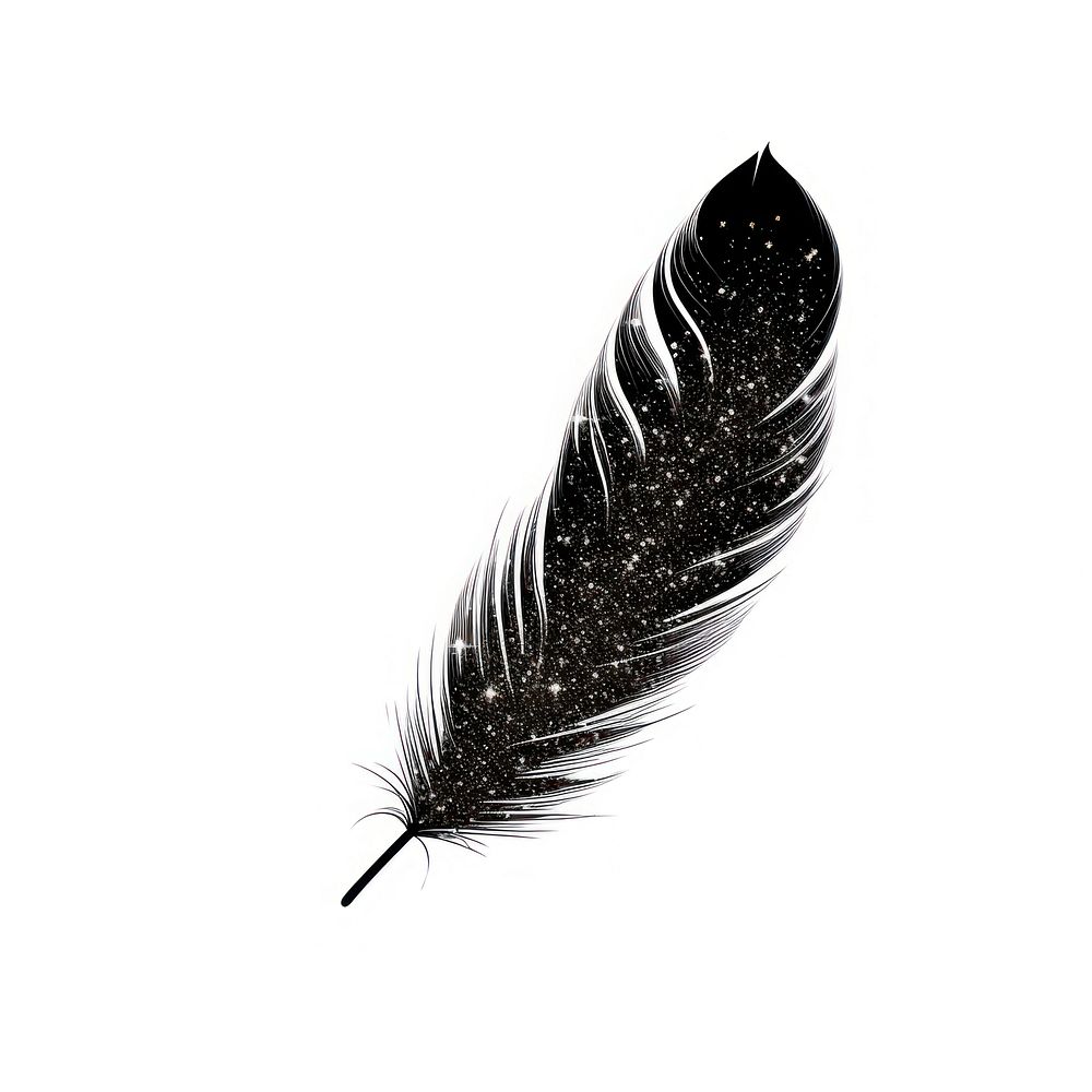 Feather icon black white background lightweight.