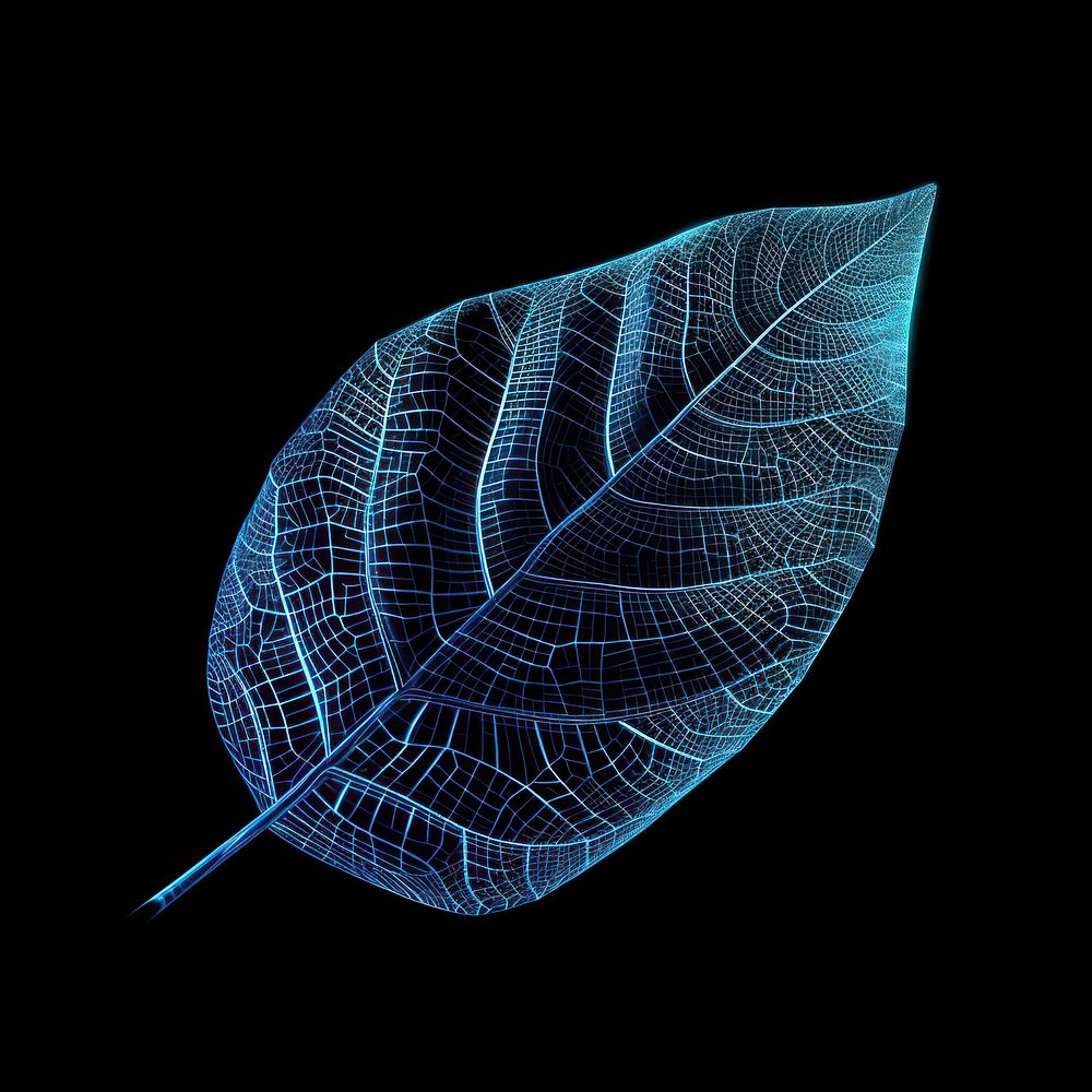 Glowing wireframe of a leaf nature plant line.