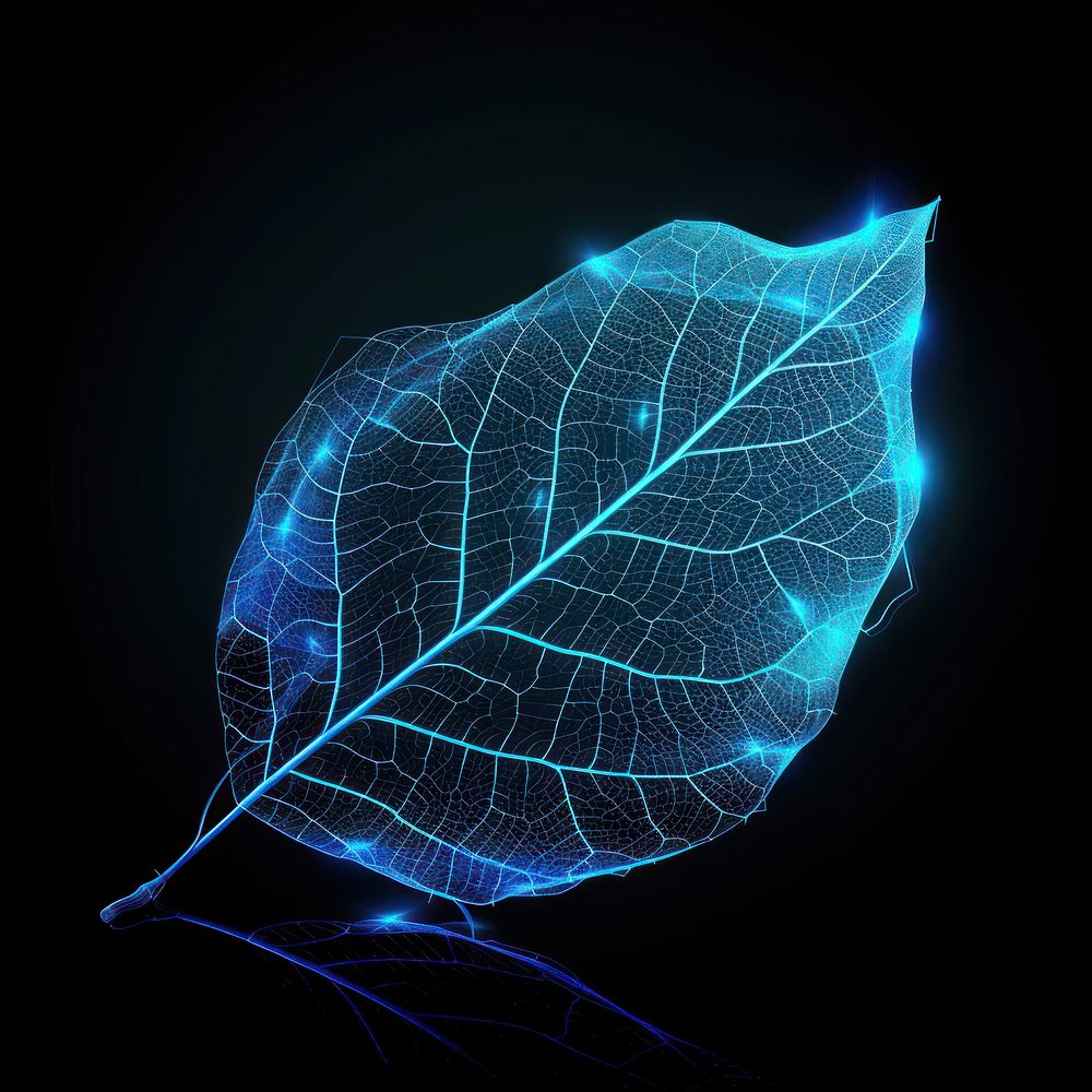 Glowing wireframe of an autumn leaf nature light plant.