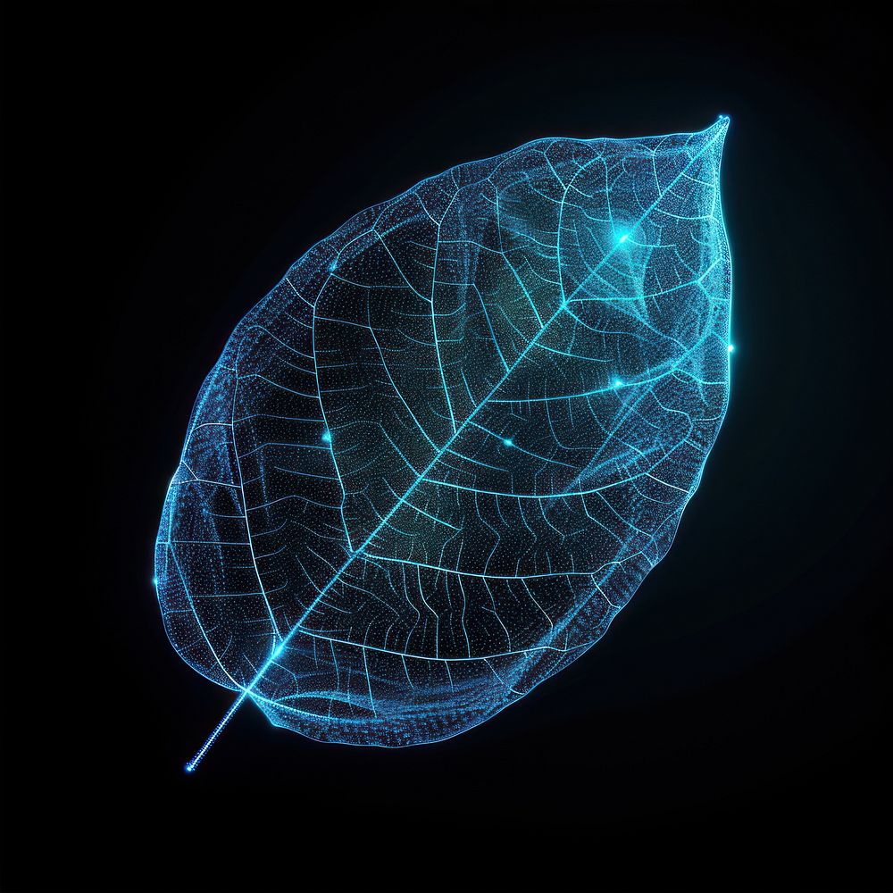 Glowing wireframe of an autumn leaf futuristic nature light.
