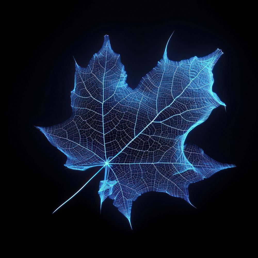 Glowing wireframe of an autumn leaf plant tree blue.