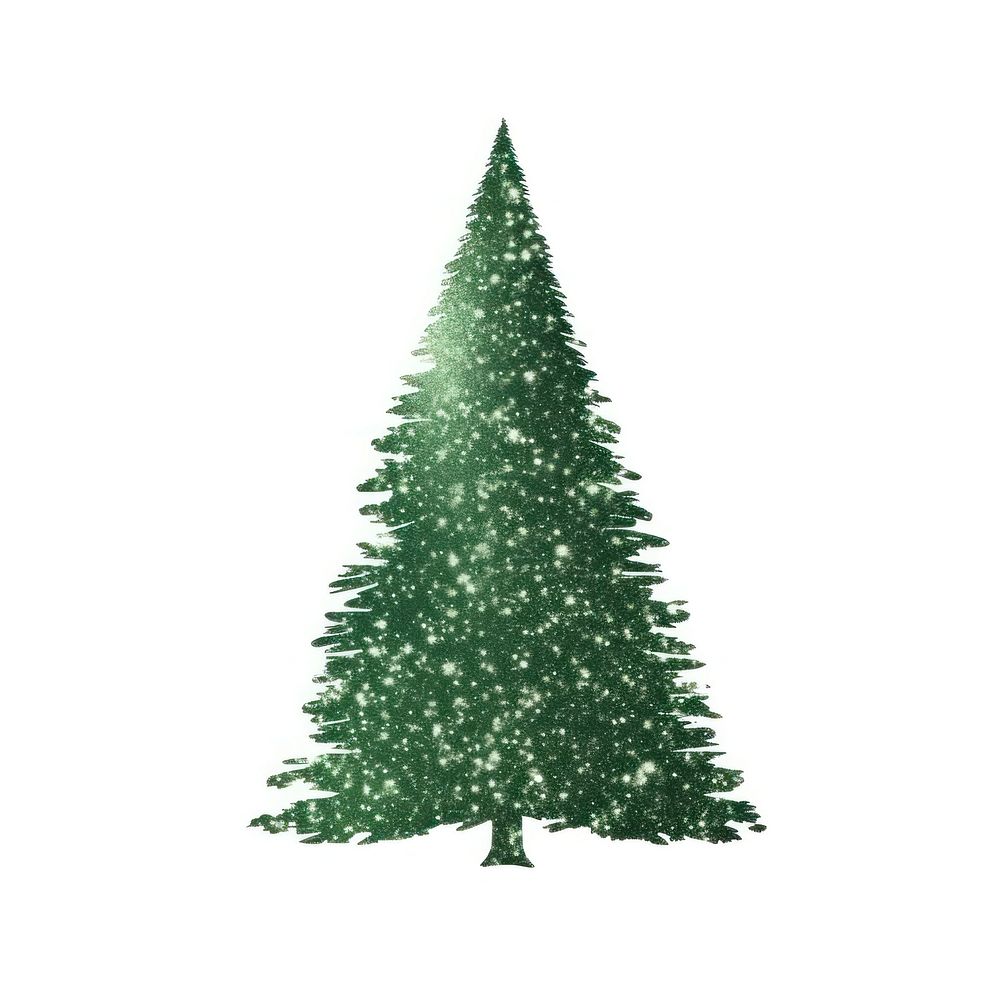 Pine tree icon christmas plant shape.