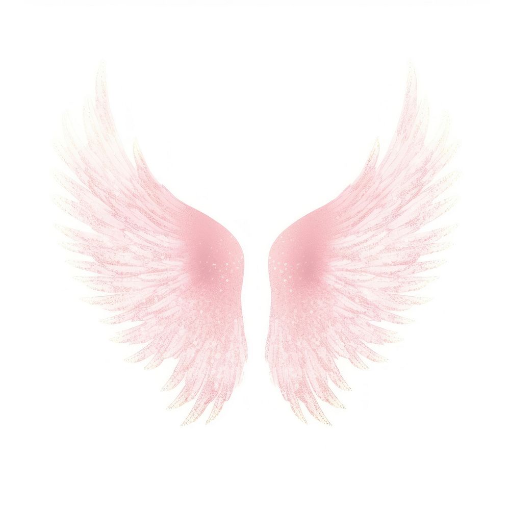Angel wings icon petal pink white background.