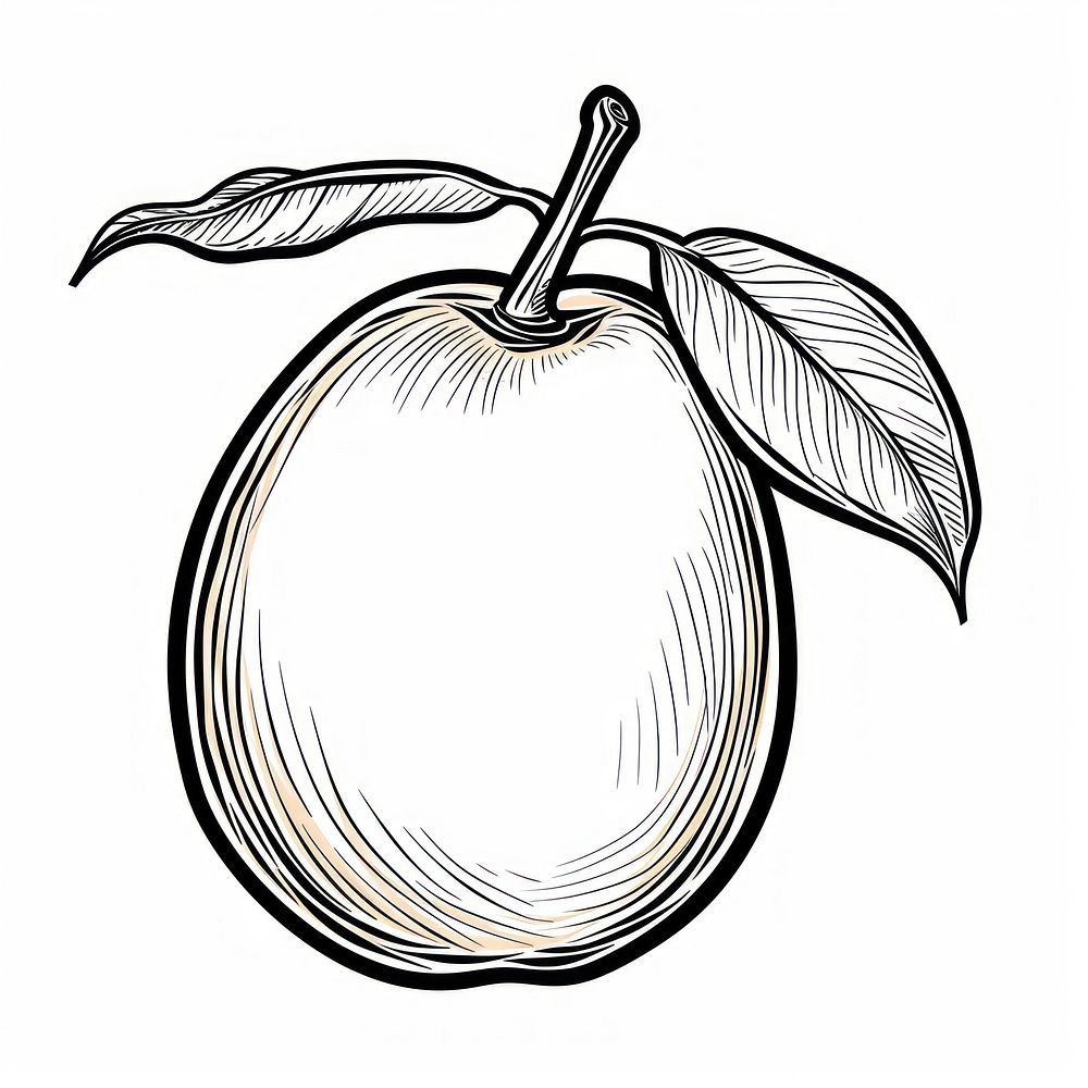 Mango outline sketch drawing fruit apple.