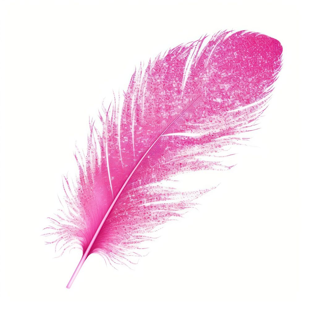 Feather icon pink art white background.