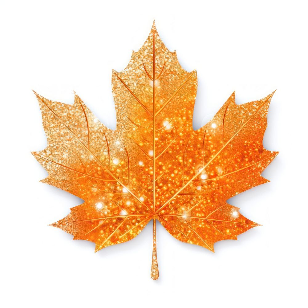 Orange Maple leaf icon maple plant shape.