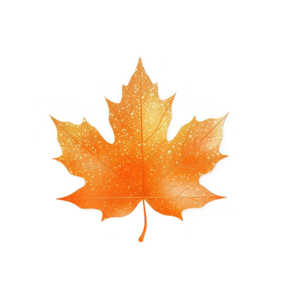 Orange Maple leaf icon maple plant tree.