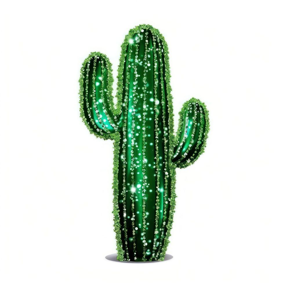 Cactus icon plant white background illuminated.