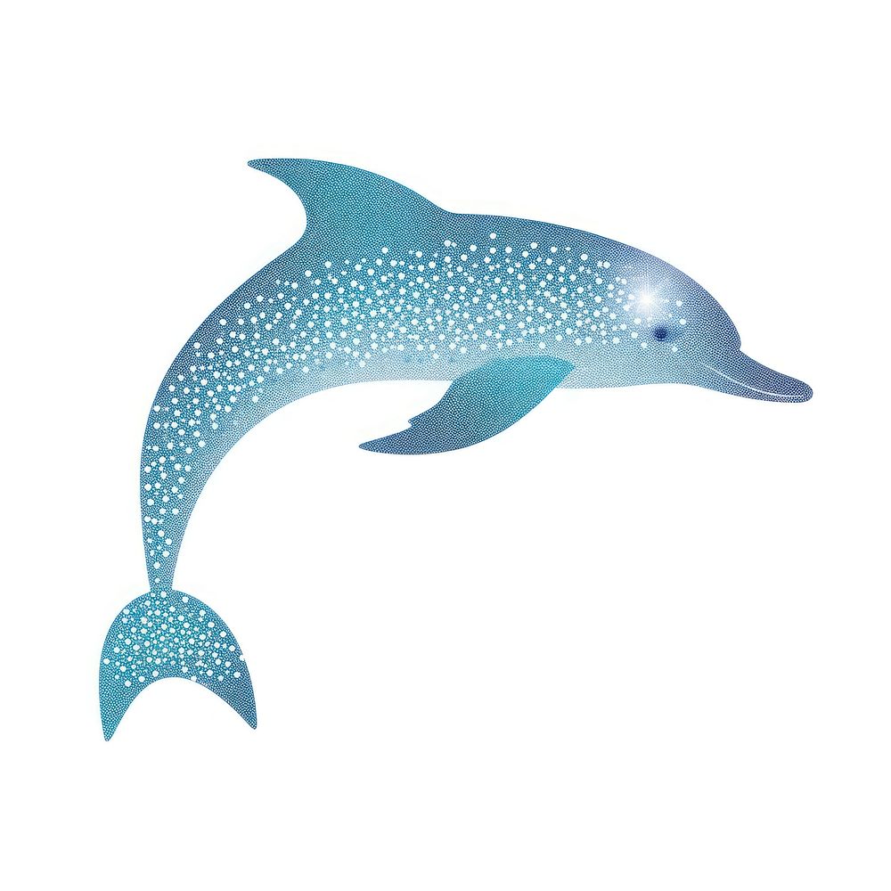 Dolphin icon animal mammal fish.