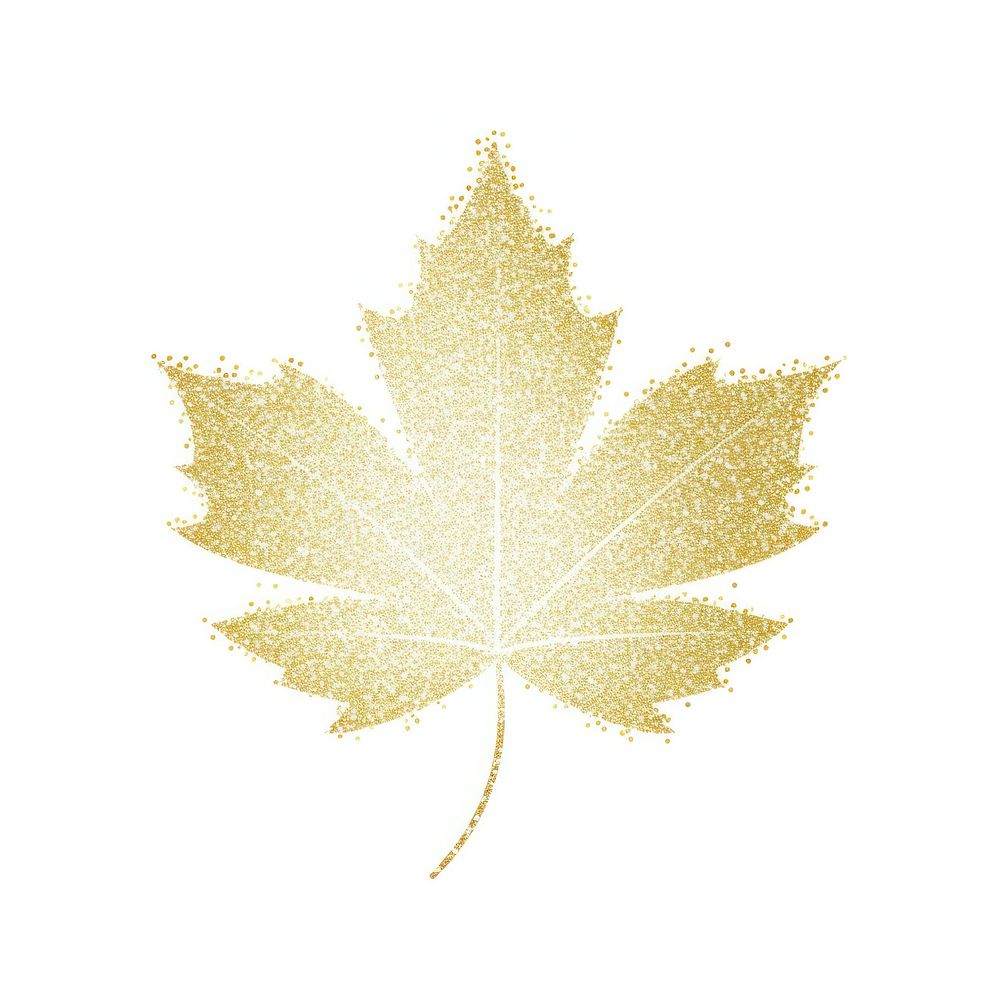 Gold Maple leaf icon maple plant tree.