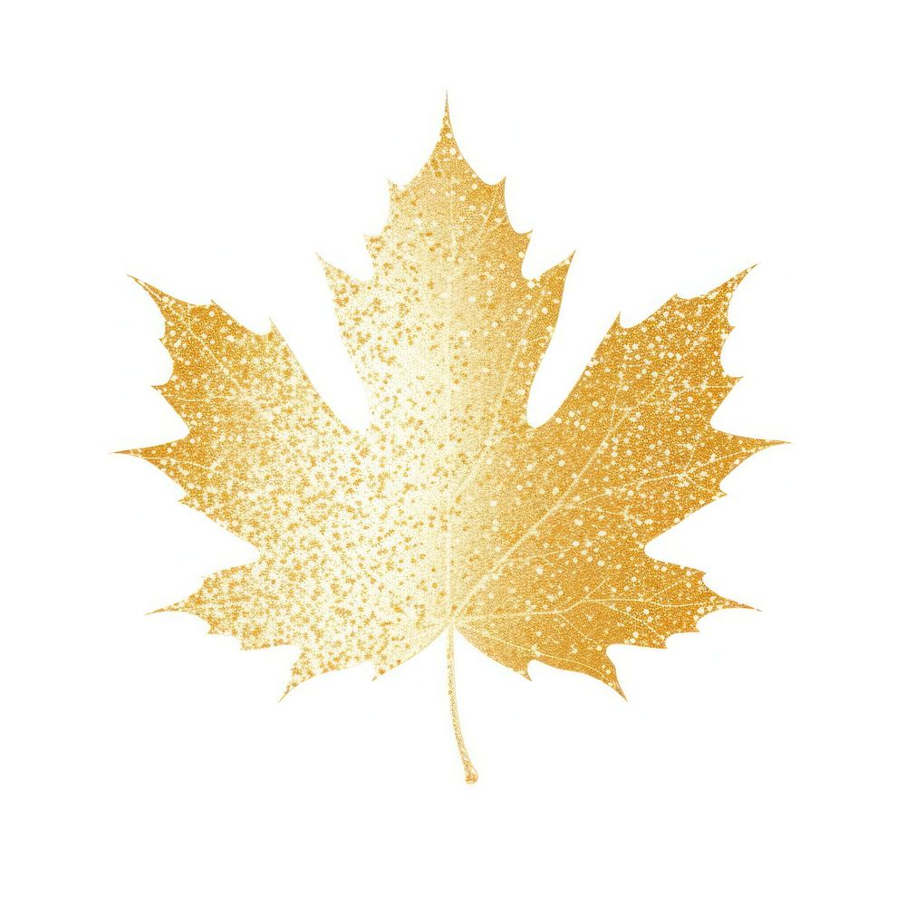 Gold Maple leaf icon maple plant tree.