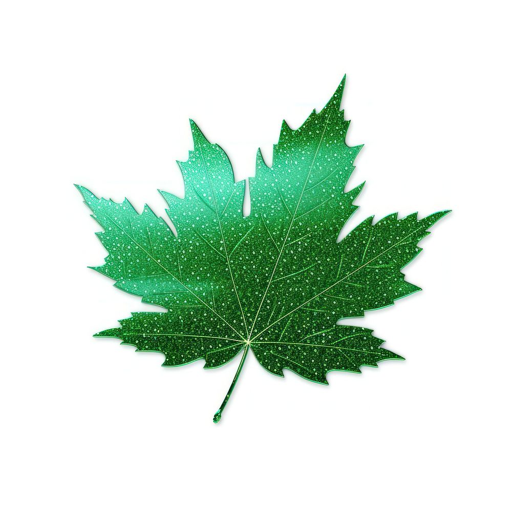 Green Maple leaf icon maple plant tree.