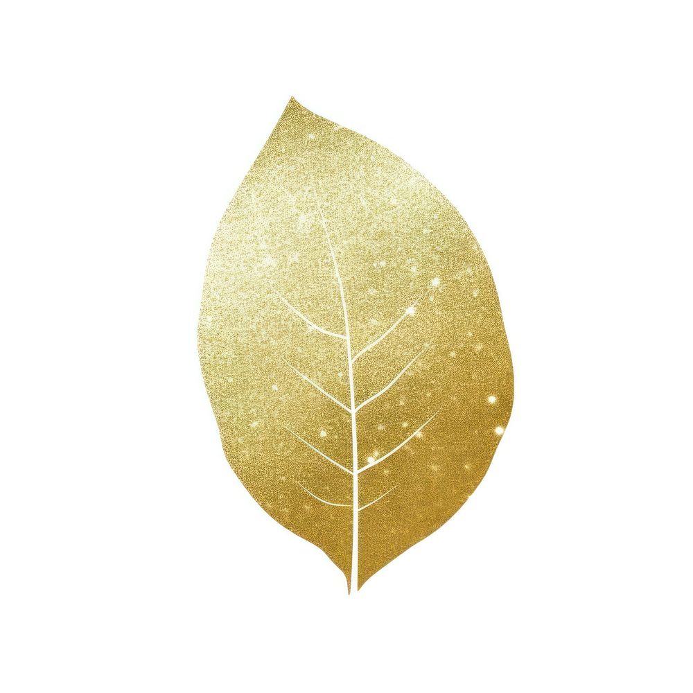 Leaf icon shape plant white background.