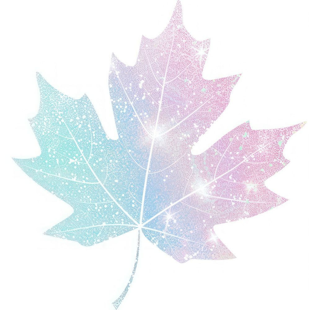 Maple leaf icon maple plant tree.