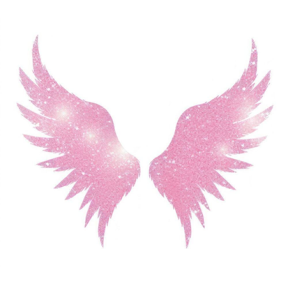 Pink angel wings icon bird white background accessories.