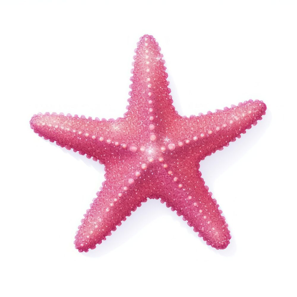 Pink Starfish icon starfish shape white background.