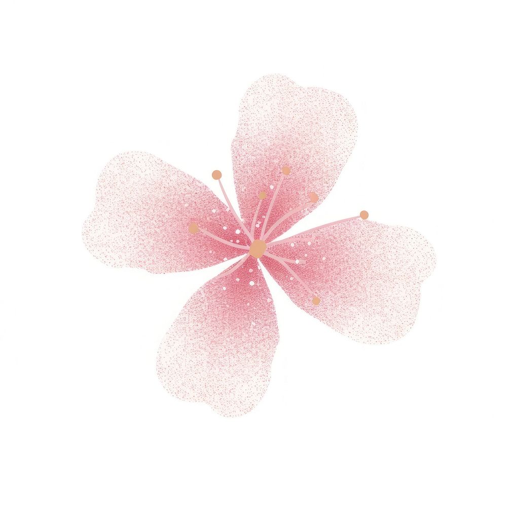Sakura icon blossom flower petal.