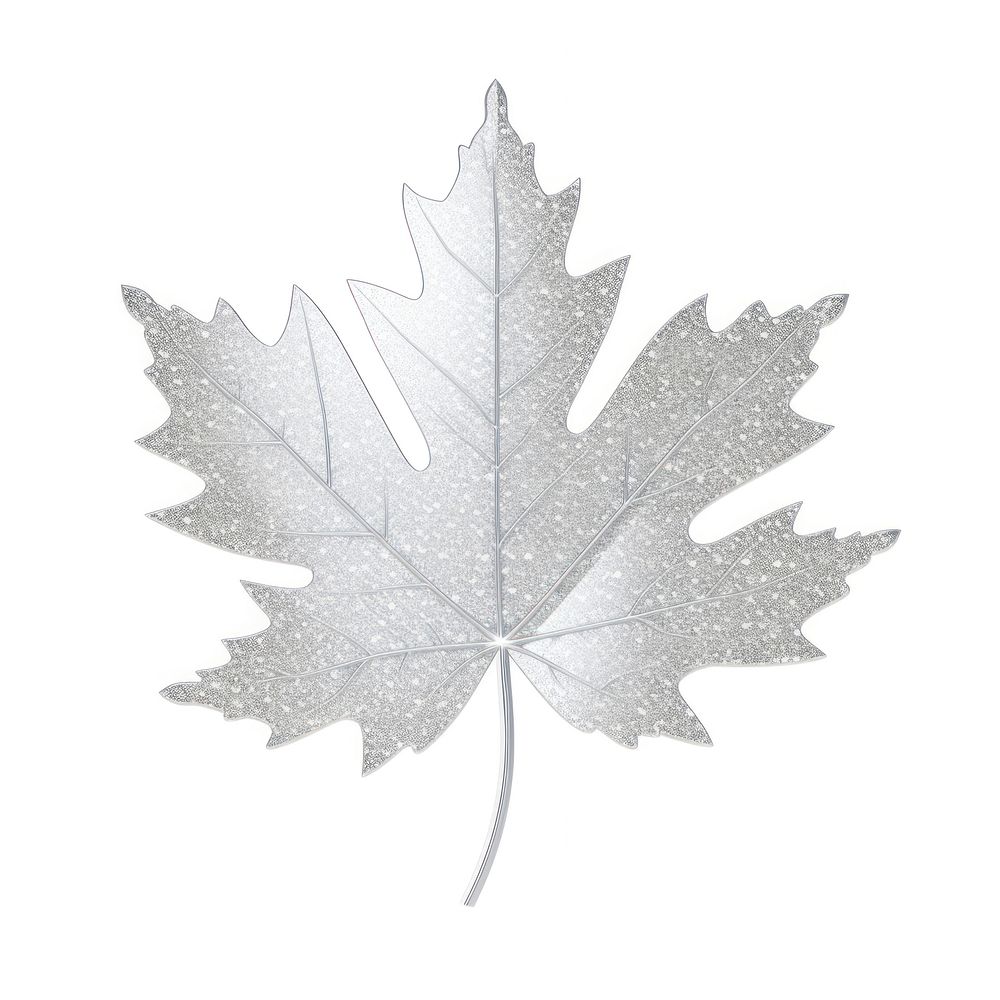 Silver Maple leaf icon maple plant shape.