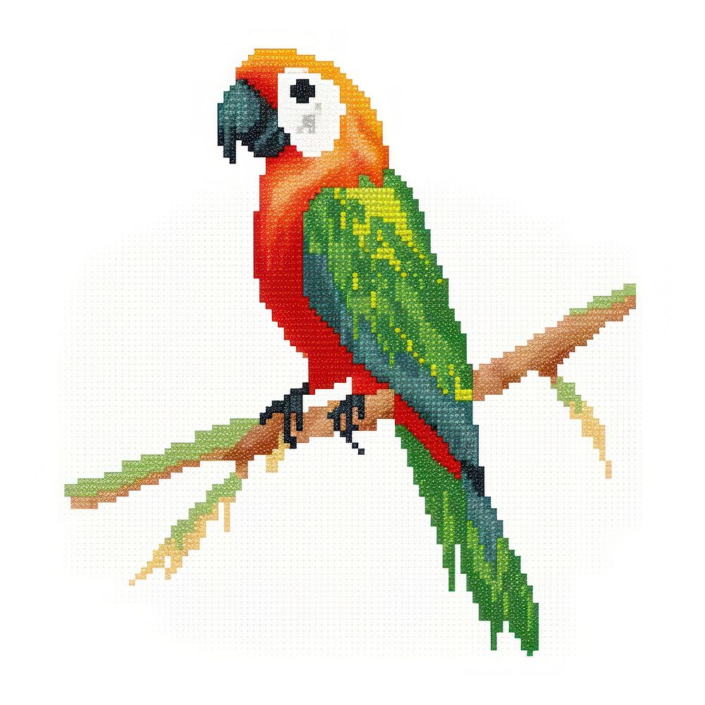 Cross stitch parrot animal bird white background.