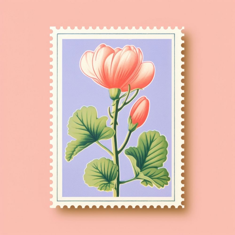 Cute Cyclamen Risograph style flower plant inflorescence.