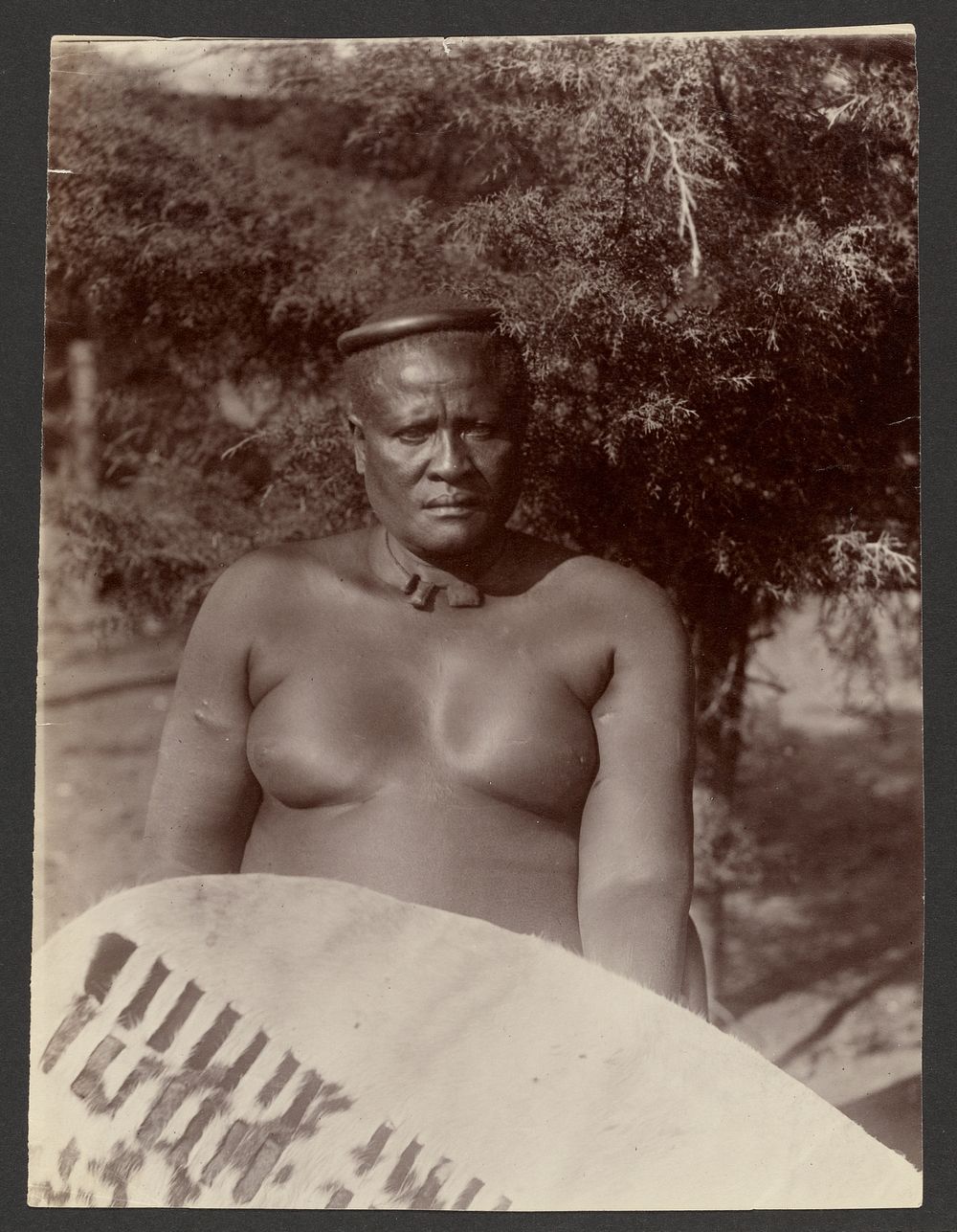 Zulu Chief, brother of Cetewayo