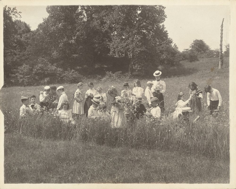 Children Picking Flowers by Frances Benjamin Johnston