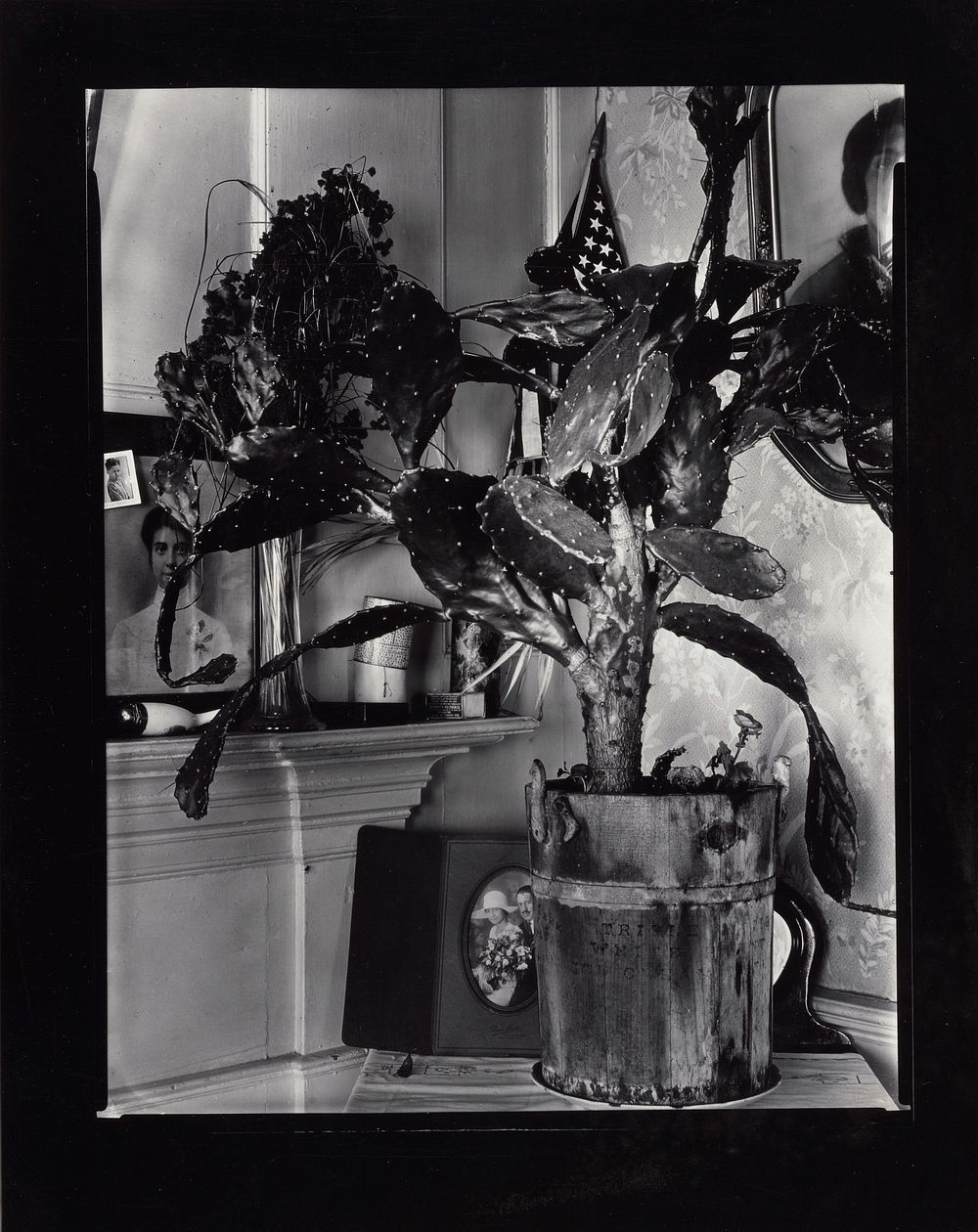 The Cactus Plant]/[Interior Detail of a Portuguese House, Truro, Massachusetts by Walker Evans