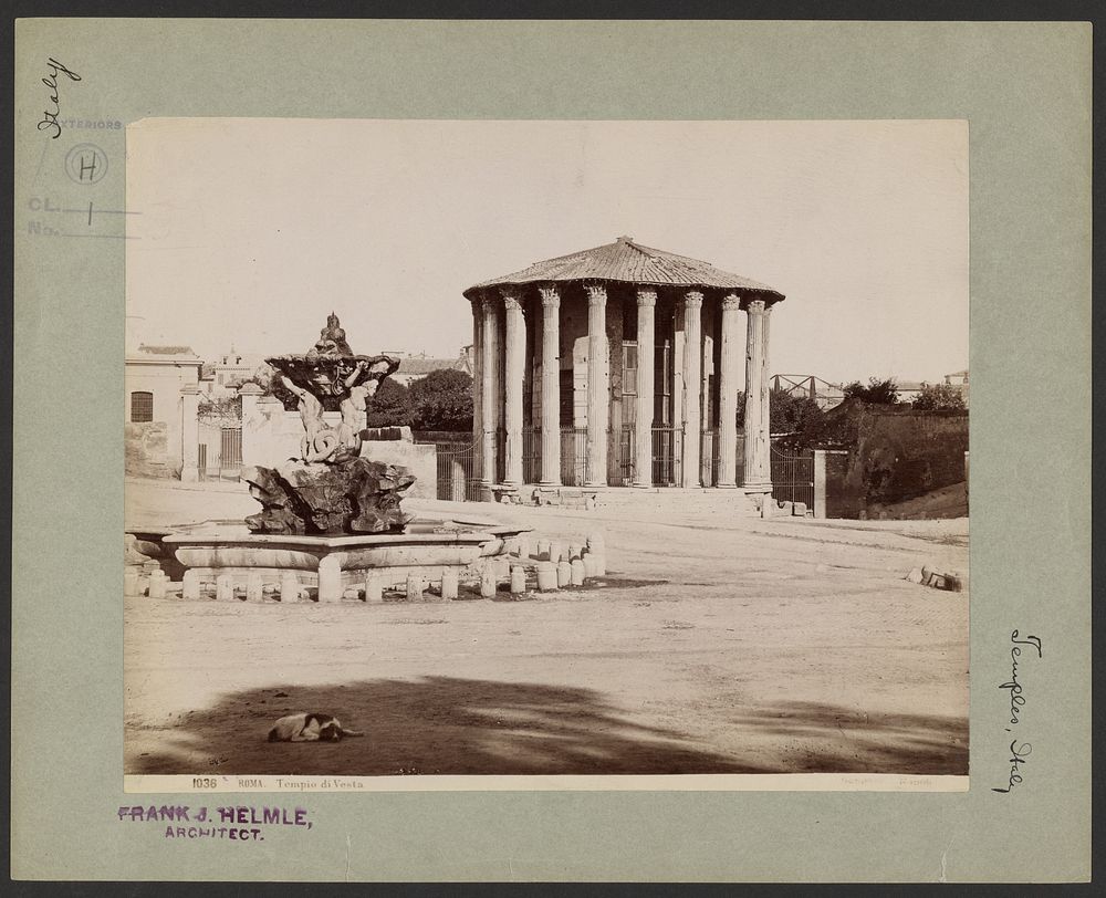 Rome, Temple of Vesta by Giorgio Sommer