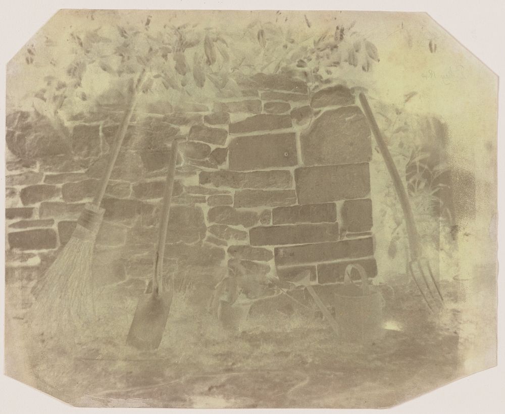 Wall in Melon Ground, Lacock Abbey by William Henry Fox Talbot