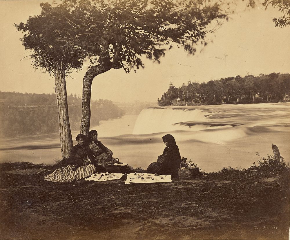 A Tree Above The Niagara Falls by George Barker