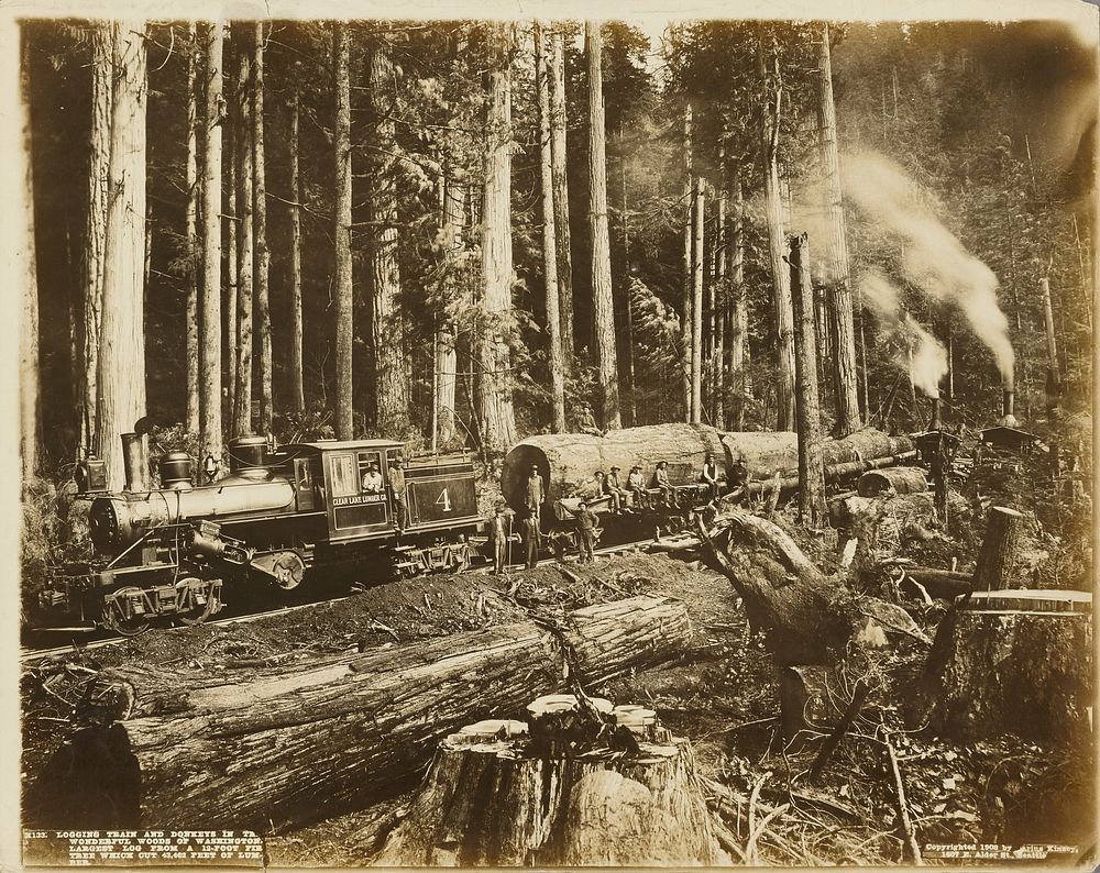 Logging Train and Donkeys in the Wonderful Woods of Washington by Darius Kinsey