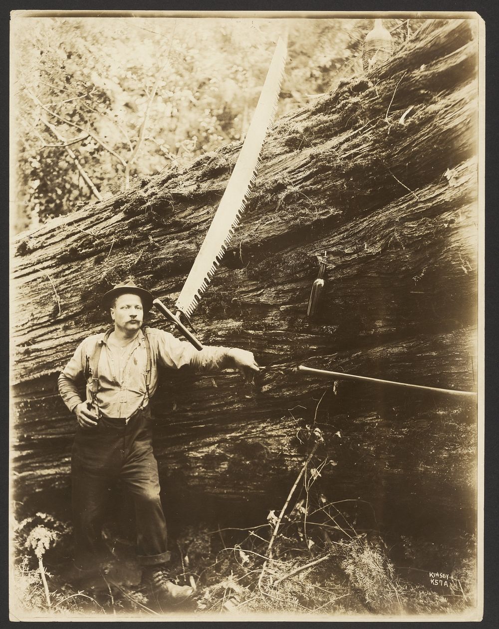 Logger and felled tree by Darius Kinsey