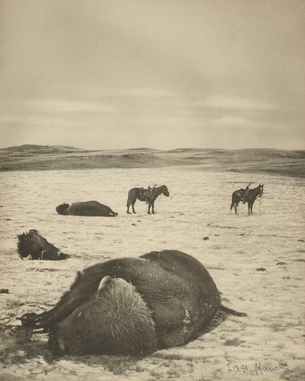 After the Chase, North Montana Range, M.T. Jan 82. by Laton Alton Huffman