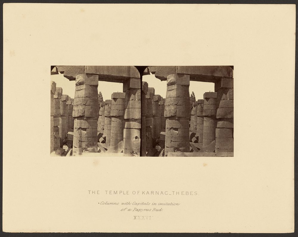 The Temple of Karnac, Thebes: Columns with Capitals in imitation of a Papyrus Bud. by Francis Frith