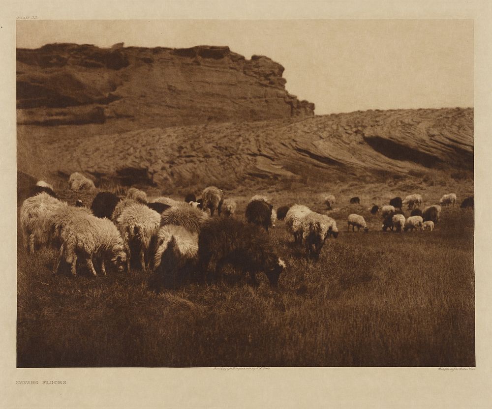 Navaho Flocks by Edward S Curtis