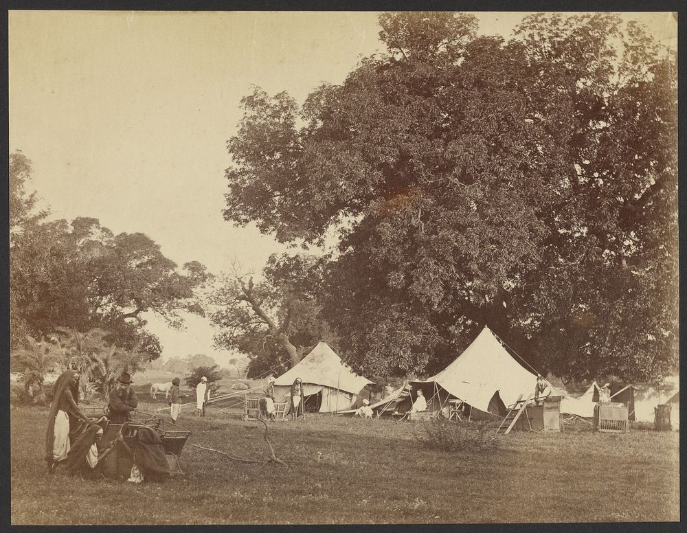 Camp by Willoughby Wallace Hooper