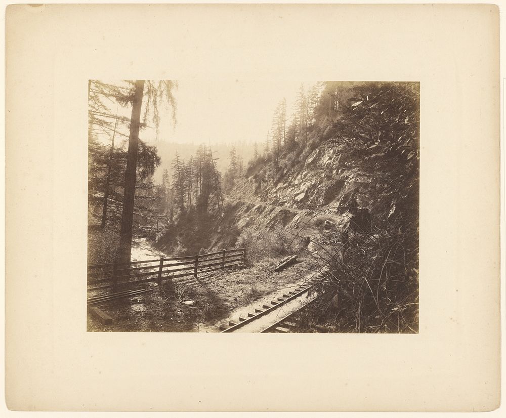 Ore Tracks Near Santa Cruz, California by Edward L Woods