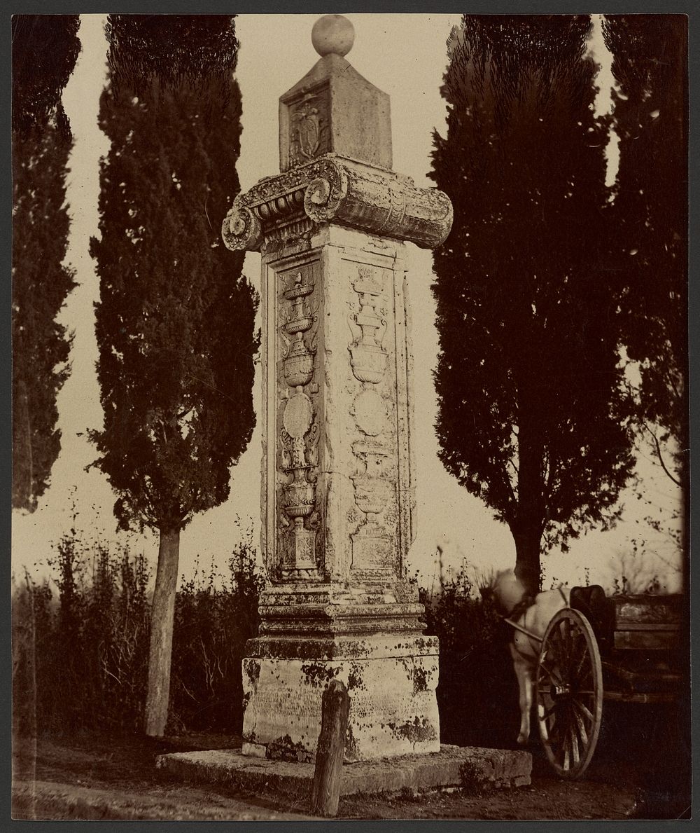 The Column of the French, Ravenna