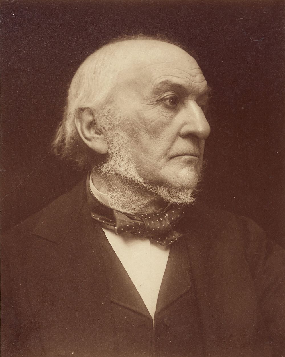 William Ewart Gladstone by Eveleen W H Myers