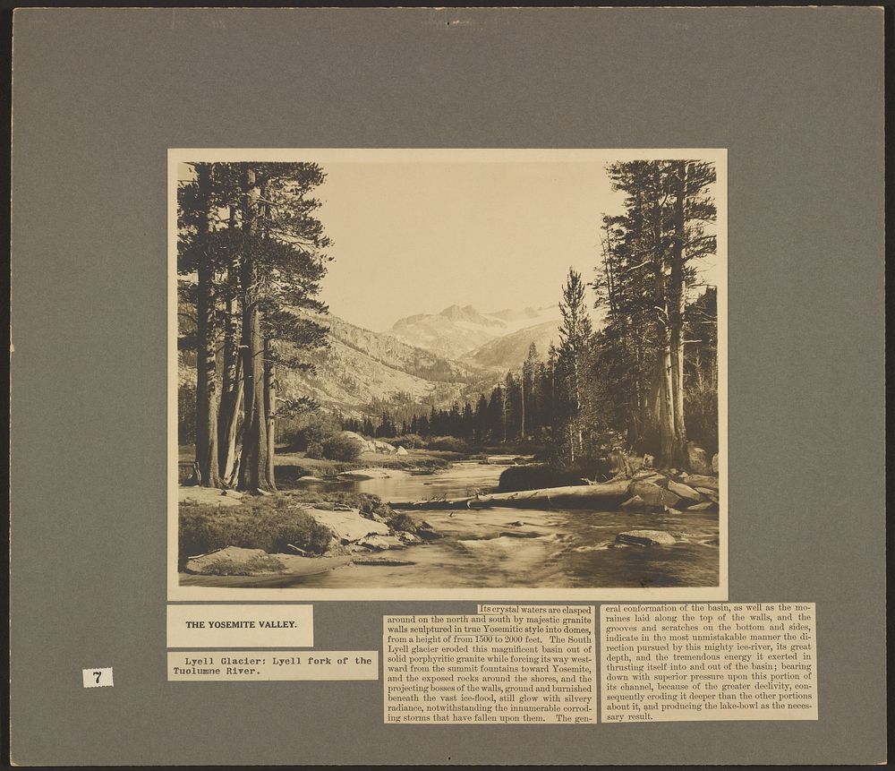 Yosemite Valley: Lyell Glacier by Julius T Boysen